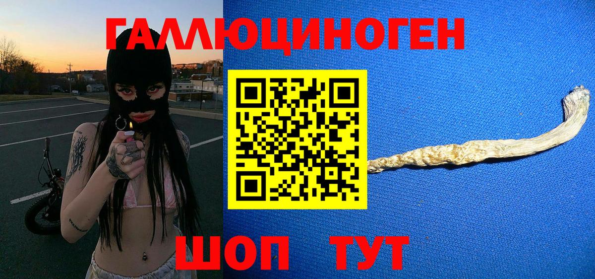 Нововоронеж  Галлюциногенные грибы Psilocybine cubensis  Вход с VPN 