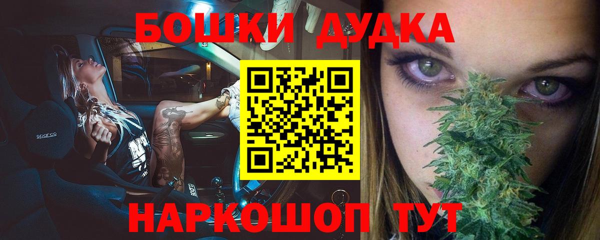 Каннабис планчик Нововоронеж